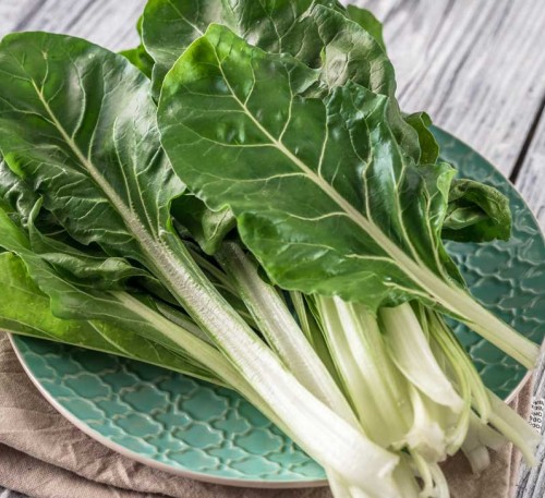 Chard Mangold Serebryanyy led